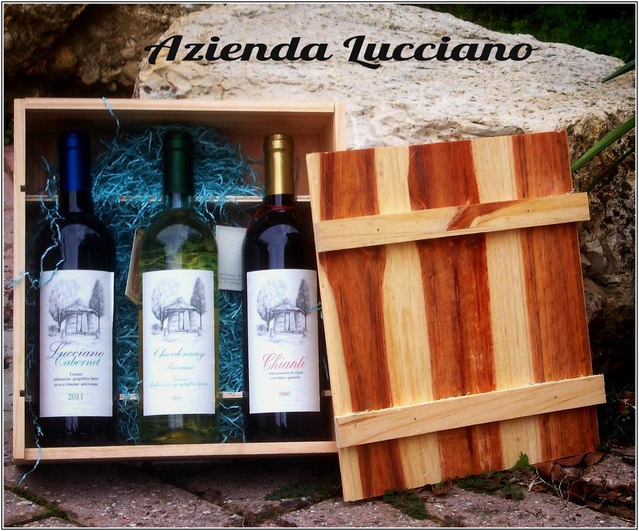 Agriturismo Lucciano San Casciano in Val di Pesa Cameră foto
